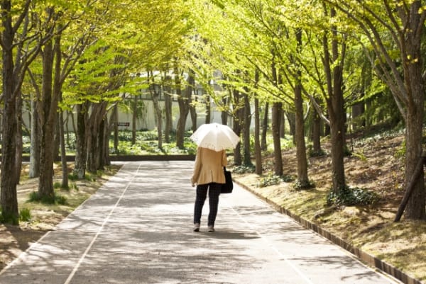 認知症介護ではもの盗られ妄想が再燃することも