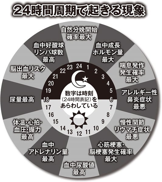 24時間周期で起きる現象（柴田重信教授監修のもと、編集部で作成）
