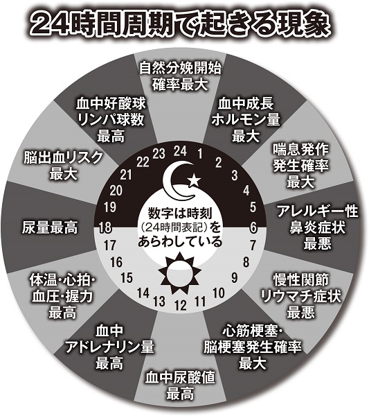 人間の臓器は細胞内に時計遺伝子を持ち 体内時計 を生む Newsポストセブン 人間の臓器は細胞内に時計遺伝子を持ち 体内時計 を生む Newsポストセブン