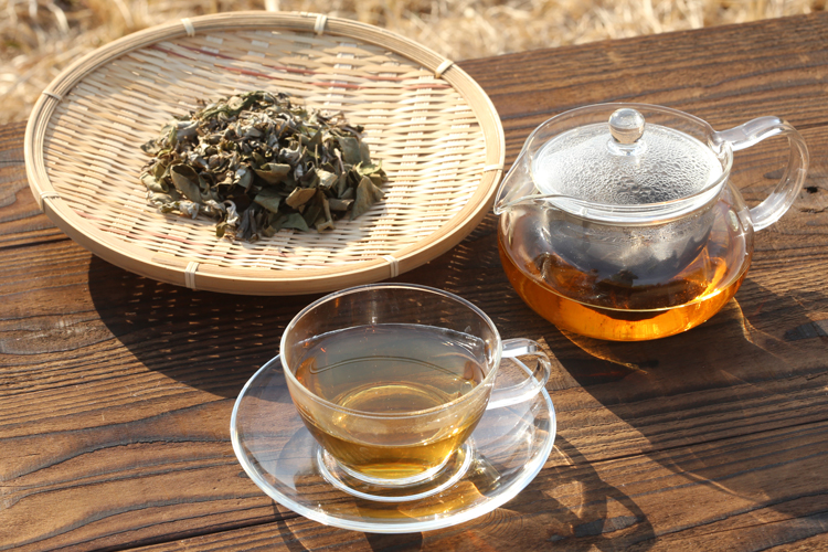 健康を増進する野草茶の作り方を解説
