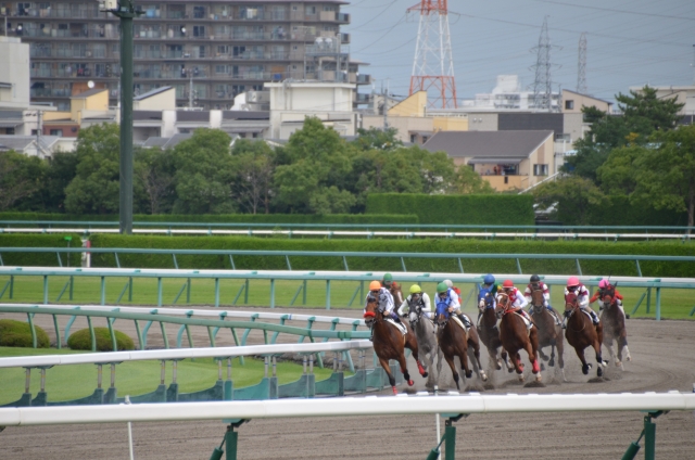 オッズが1倍台ならどう勝負すべきか