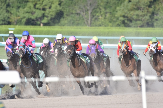 人気が高い厩舎の馬でどう勝負する？