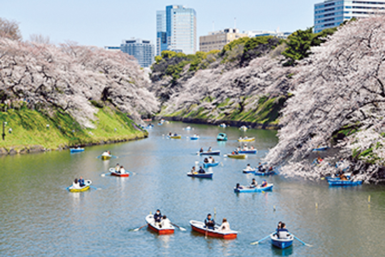 千鳥ヶ淵公園（写真／アフロ）