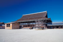 広大な敷地を持つ京都御所(撮影/水野秀比古)