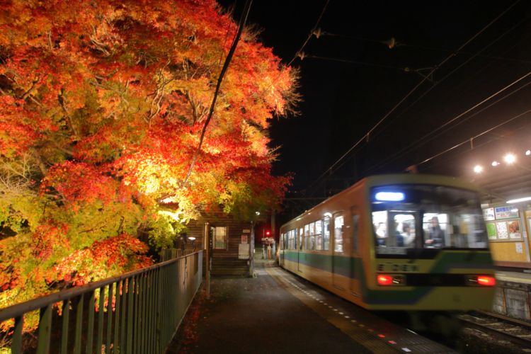 京都府叡山電鉄 鞍馬線。車窓を流れゆく燃える紅葉