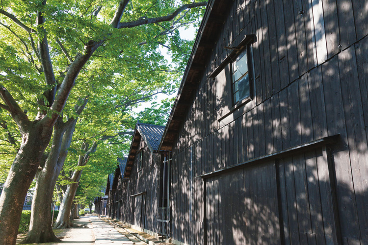 酒田市の山居倉庫（山本忠男／AFLO）