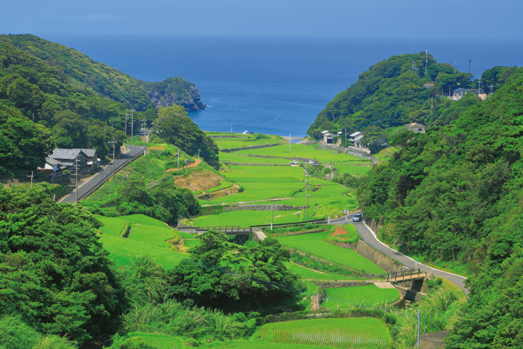 潜伏キリシタンが切り開いた棚田がある春日集落（田中秀明／AFLO）