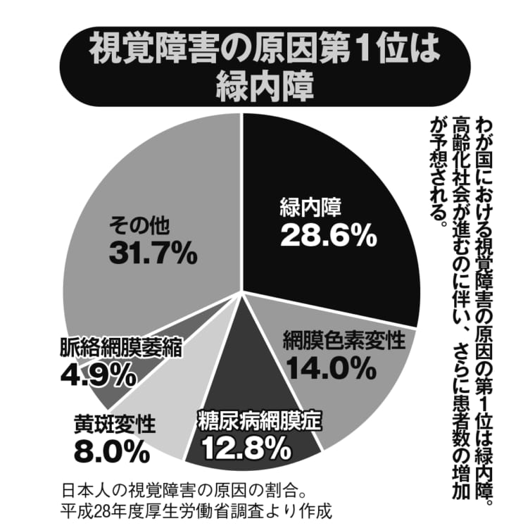 視覚障害の原因第1位は緑内障