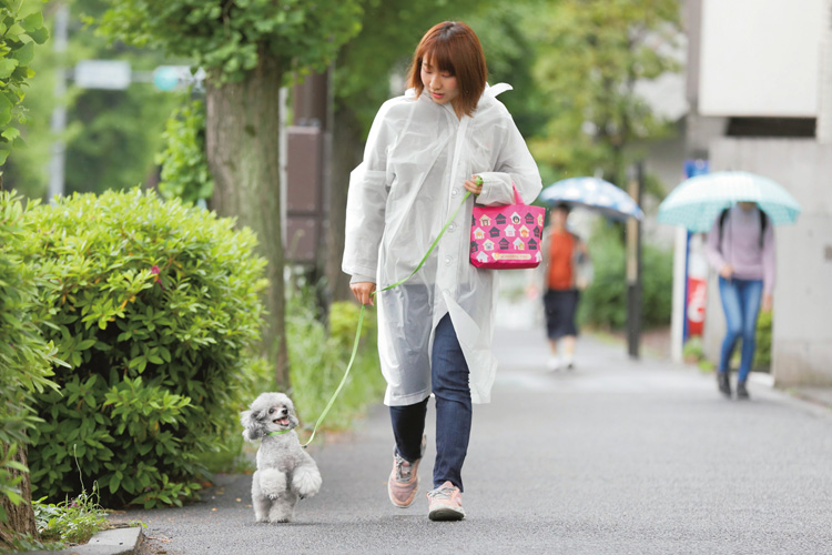 ペット関連の資格を持つ人が登録されている（撮影／内海裕之）