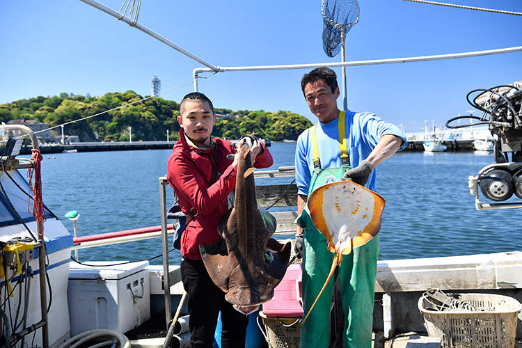 害魚に価値を見出す“魚のアップサイクル”