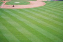 プロ野球の遠征費 1球団の年間移動費はいくらかかるか