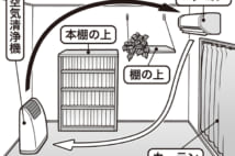 エアコンを快適に使うために シーズン中にやるべき3つの定期ケア
