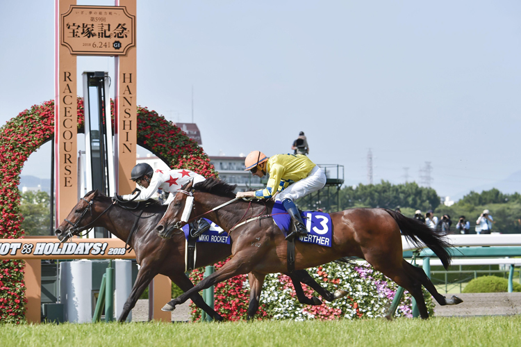 競走馬156頭出走取り消し騒動 「巨額賠償金」の行方｜NEWSポスト