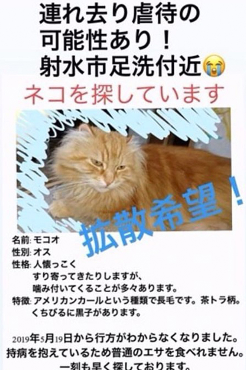 Aさんの必死の捜索もむなしく、モコオが帰ってくることはなかった（愛護団体提供）