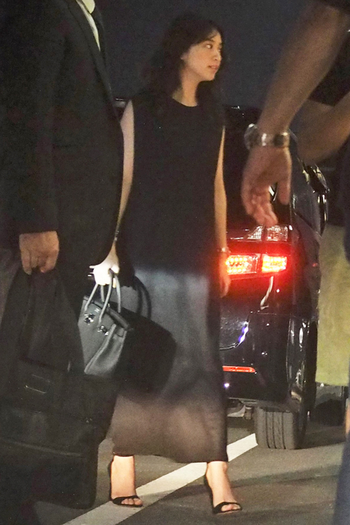 武井咲も主要キャストを務める