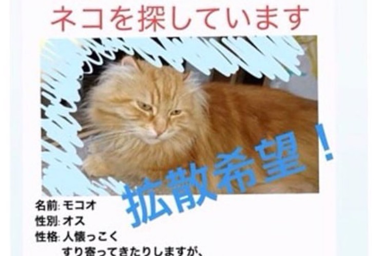 富山猫50匹殺し 52歳男宅に猫捕獲器とセーラー服 趣味だ Newsポストセブン