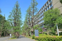 東横線屈指の人気タウン「日吉」、住む際に気を付けたい“街の主”