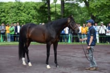 種牡馬としても抜群の実績を残すディープインパクト