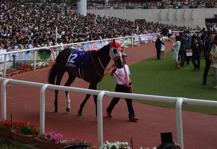 一口馬主になれば競馬の楽しみはさらに増す