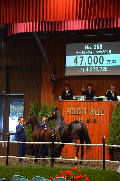 セレクトセールでは今年も高額馬が続出した