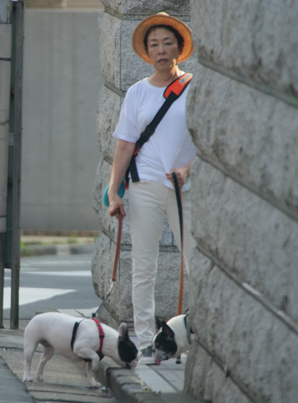 写真 安藤優子アナの愛犬散歩姿 暑すぎて5分で帰宅 Newsポストセブン