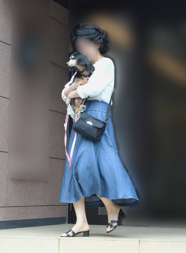 犬を抱っこする女性