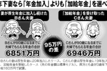 厚生年金の加入歴が20年と19年の妻 加給年金で117万円の差