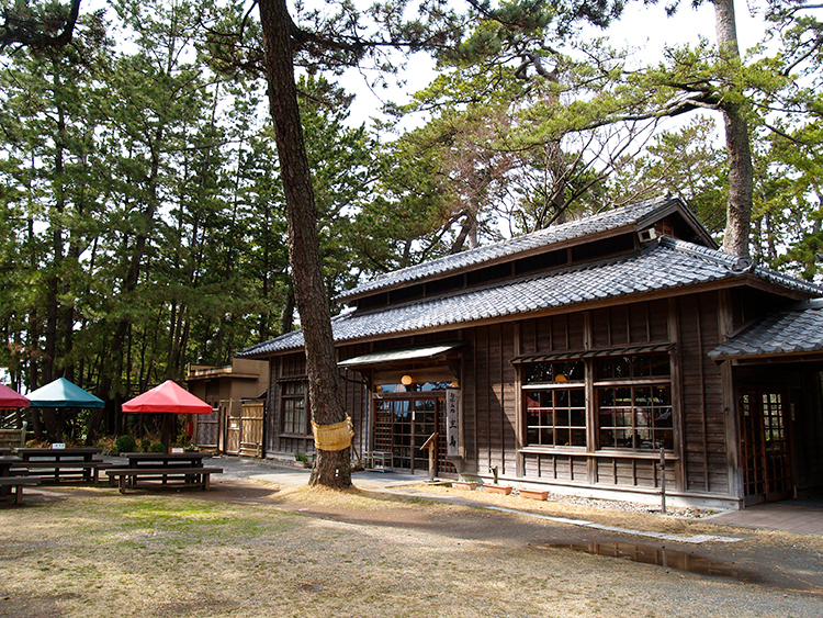 敷地内には厩舎を改造した喫茶店のほか、そば処や土産物店もある（写真提供／沼津御用邸記念公園）