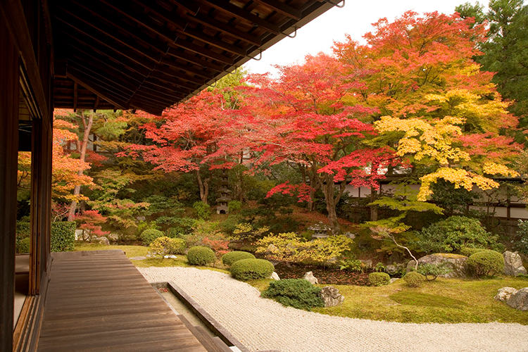 女性に人気のパワースポットの泉涌寺（写真提供／泉涌寺）