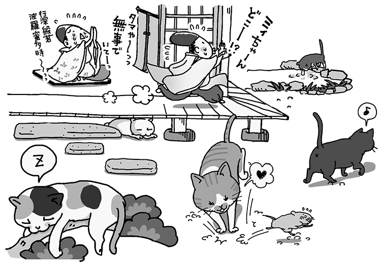 江戸時代初期の 猫放し飼い令 がもたらした意外な問題とは Newsポストセブン