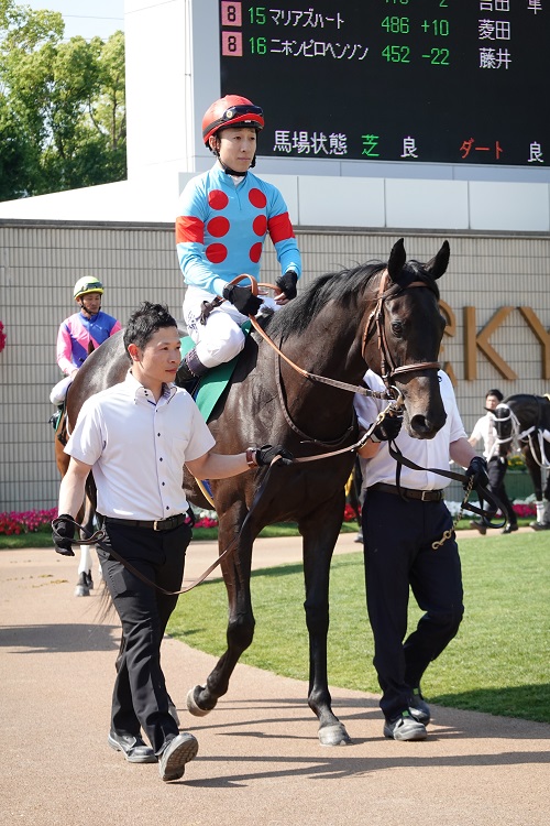 ディアンドルは牝馬らしからぬ馬格も魅力