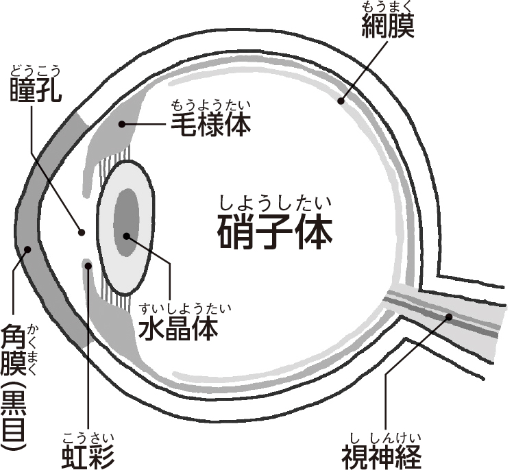 手術が唯一の治療法だという白内障