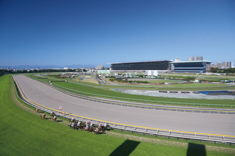 安田記念は東京競馬場のワンターン1600m