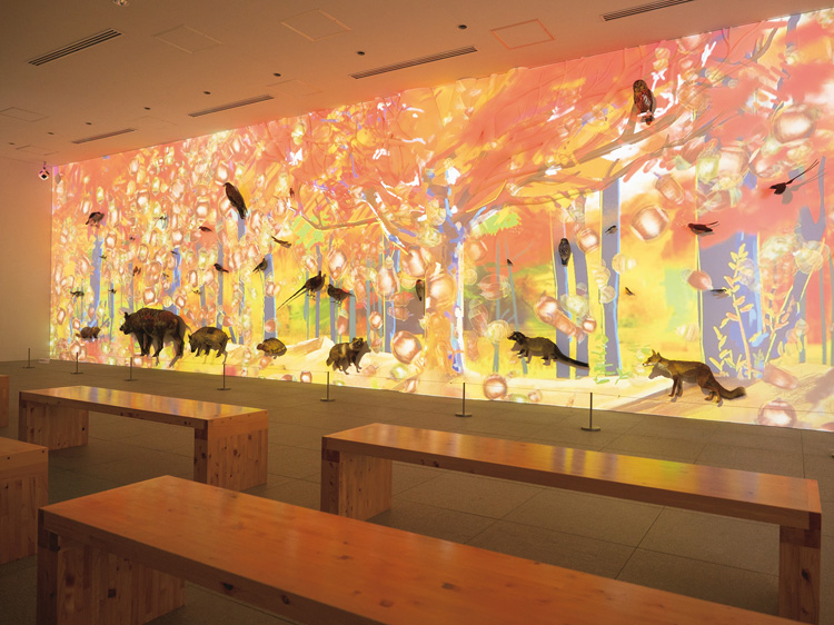 高尾山にまつわる自然史ミュージアム