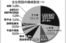 【グラフ】主な死因の構成割合（2018年）