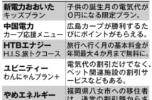 新電力への変更 お得なオプションも多いが条件付きに注意