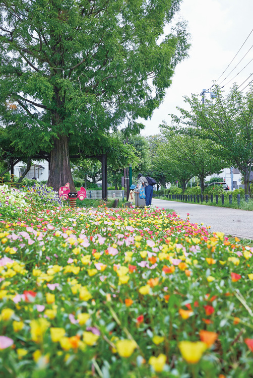 緑が美しい烏山川緑道