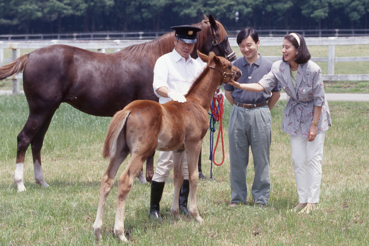 1997年には御料牧場で一定の距離を保ちながら馬と戯れられた（撮影／JMPA）