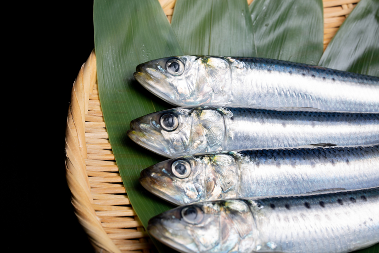 DHA・EPAは青魚に多く含まれる