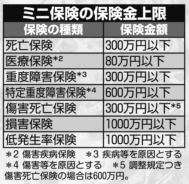 ミニ保険の保険金上限とは？