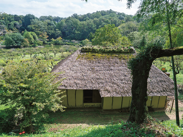 薬師池公園は見どころが多い