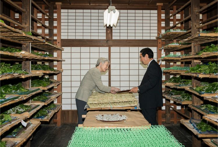 紅葉山御養蚕所で作業される美智子さま（写真／宮内庁提供）