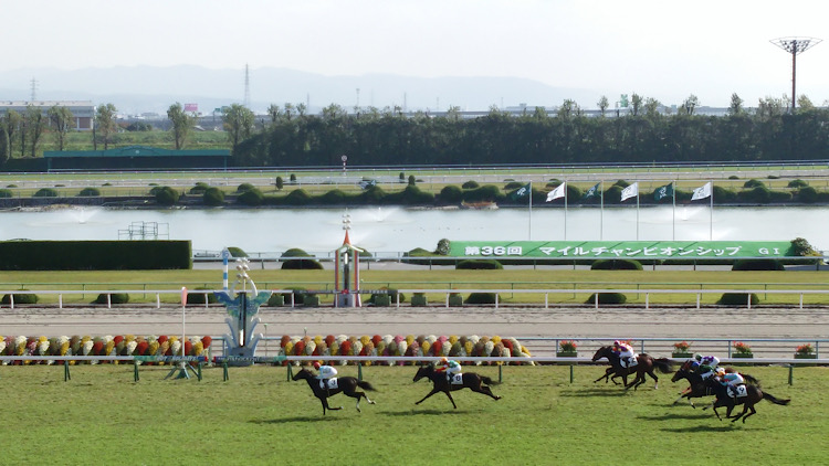 舞台は京都競馬場