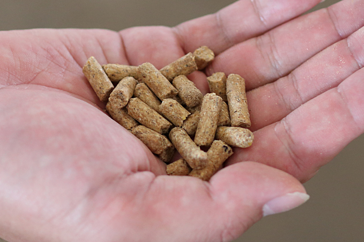 地元産の飼料用米が配合されたペレット型飼料