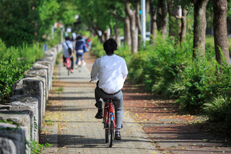 歩道を通行する姿はよく見かけるが…