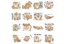 LINE友だち追加で「可愛い嘘のカワウソ」スタンプゲット!