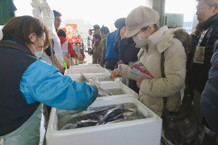 朝市は月1回開催される