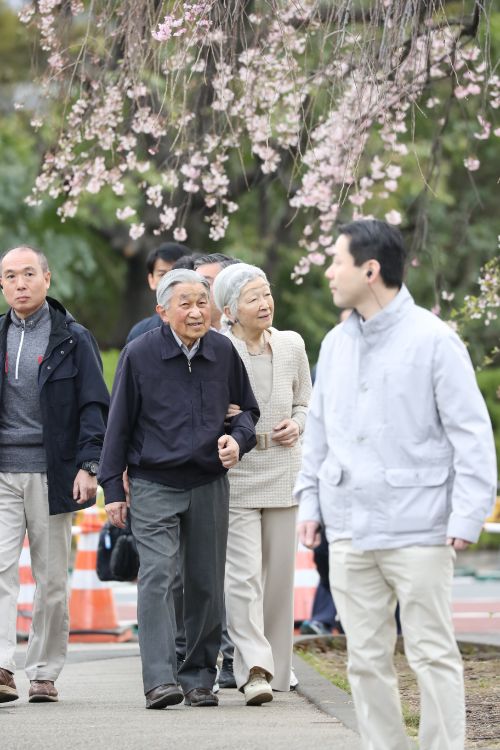 桜の時期には上皇上皇后両陛下もお忍び散策に（撮影／JMPA）