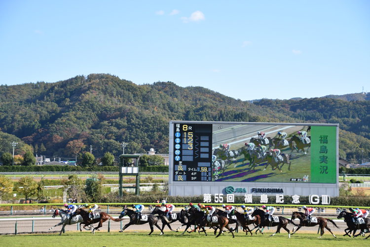 今年の秋は「1勝クラス」が最大7レース組まれていた