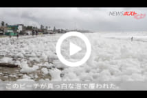 【動画】真っ白な泡に覆われたビーチ　健康被害の懸念も